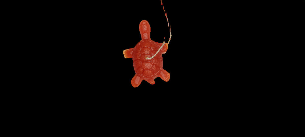 Tortoise candle