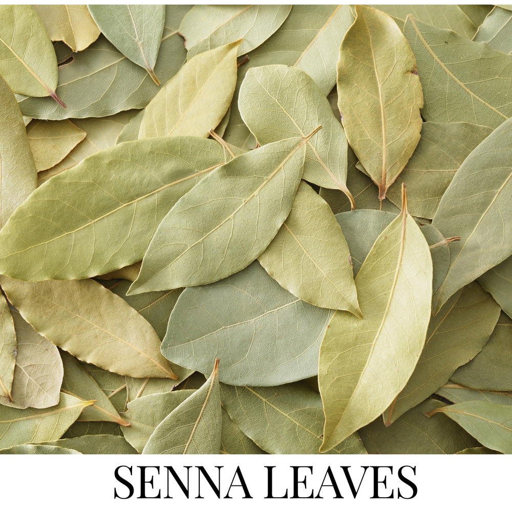 Dried Senna Leaves