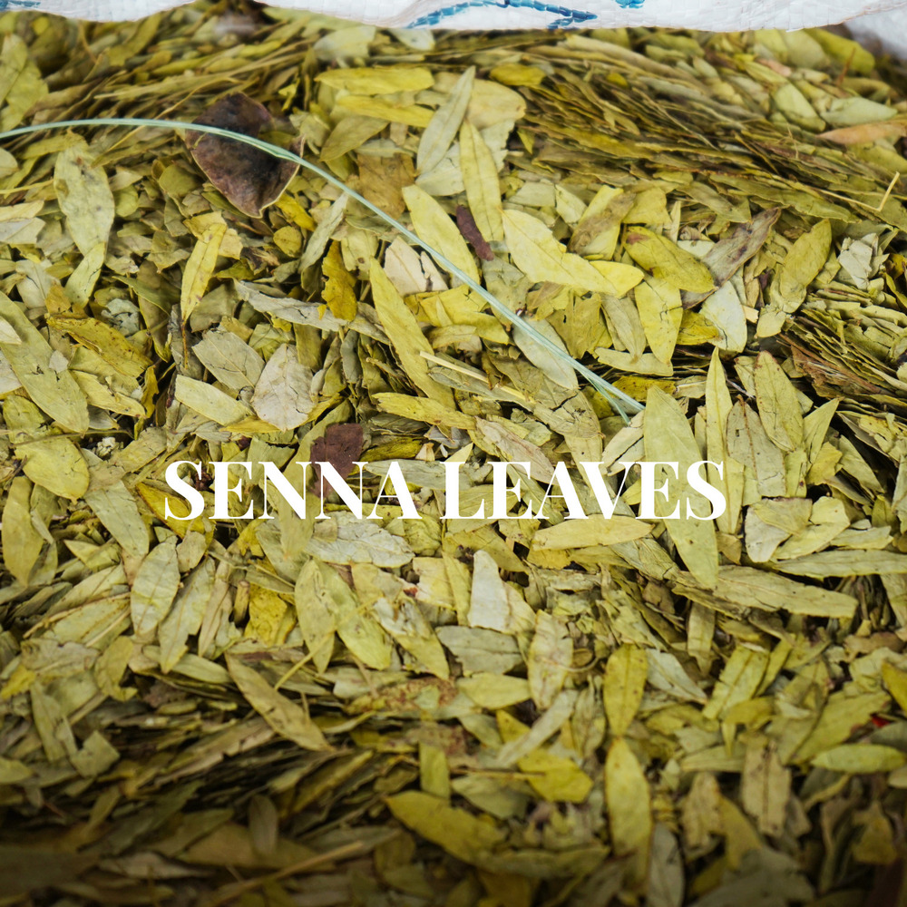 Dried Senna Leaves