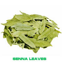 Senna Leaves