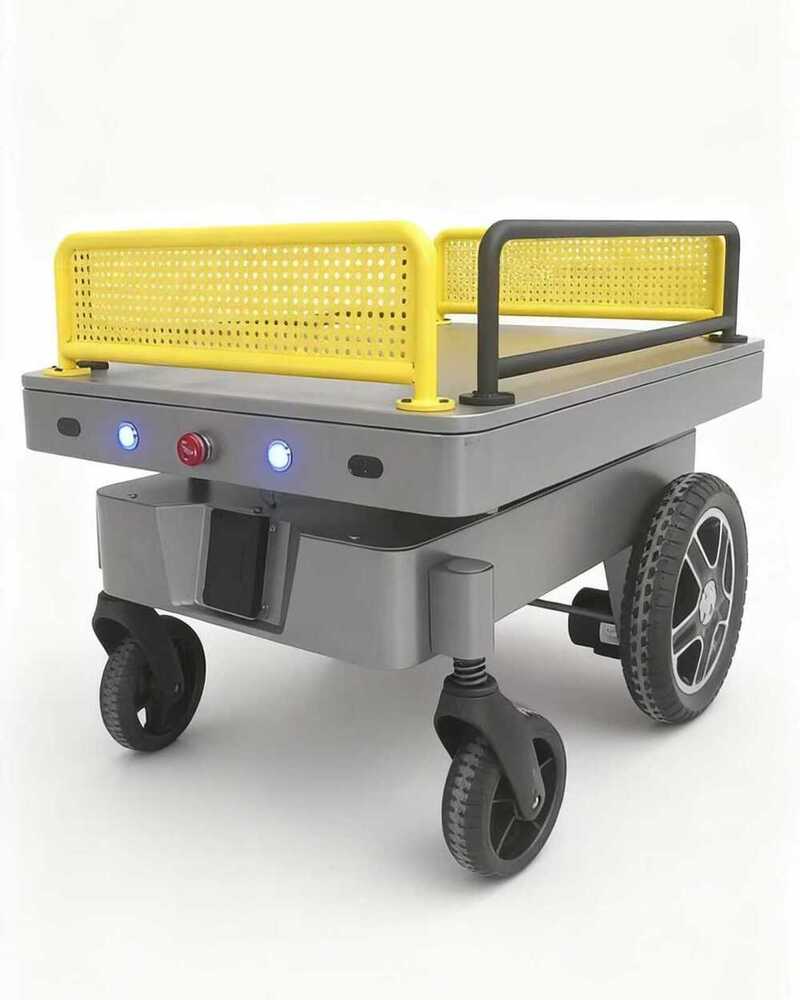 Auto Following Robot