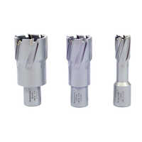 Tungsten Carbide Tipped (tct) Annular Cutters