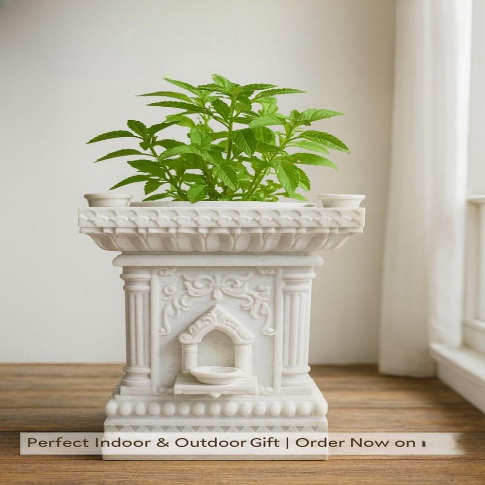 Pure white marble outdoor Tulsi Pot 