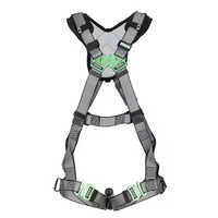 Full Body Harness