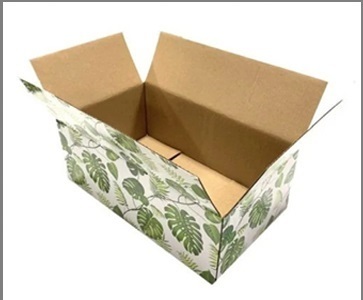 Multicolor Printed Corrugated Box