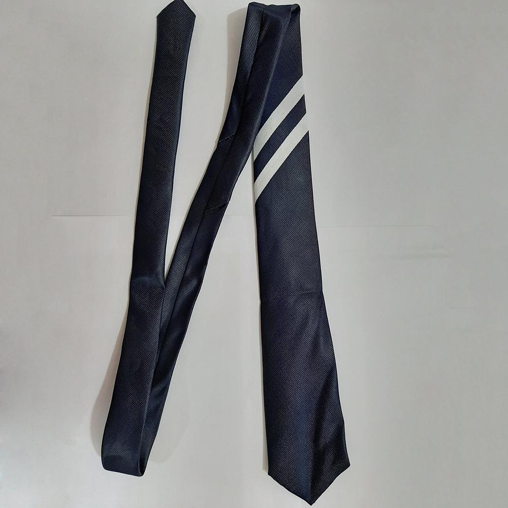 School Long Ties