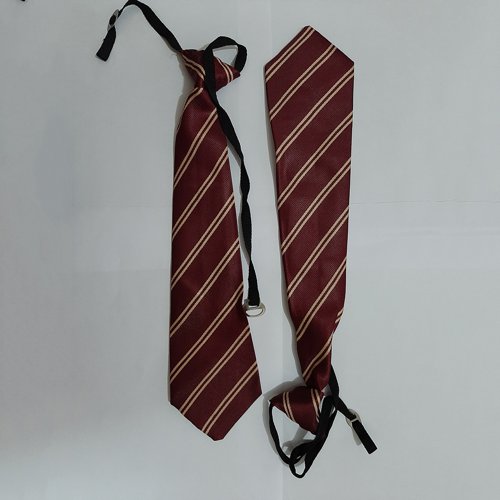 Satin School Ties