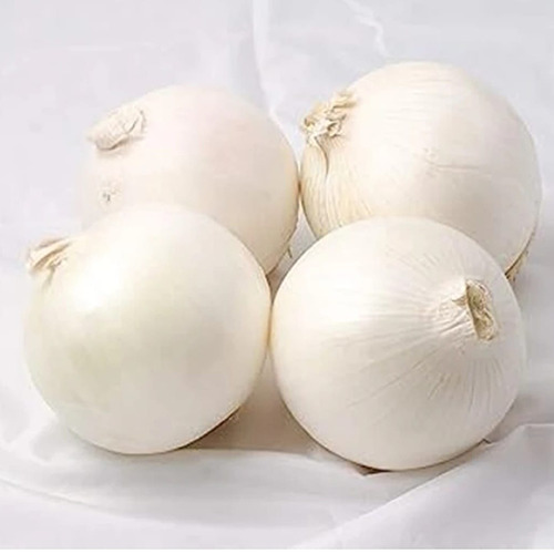 White Onion