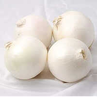White Onion - Round 45-80mm, White Color | A Grade, Thin Dry Skin, Pungent Taste, 3 Months Shelf Life