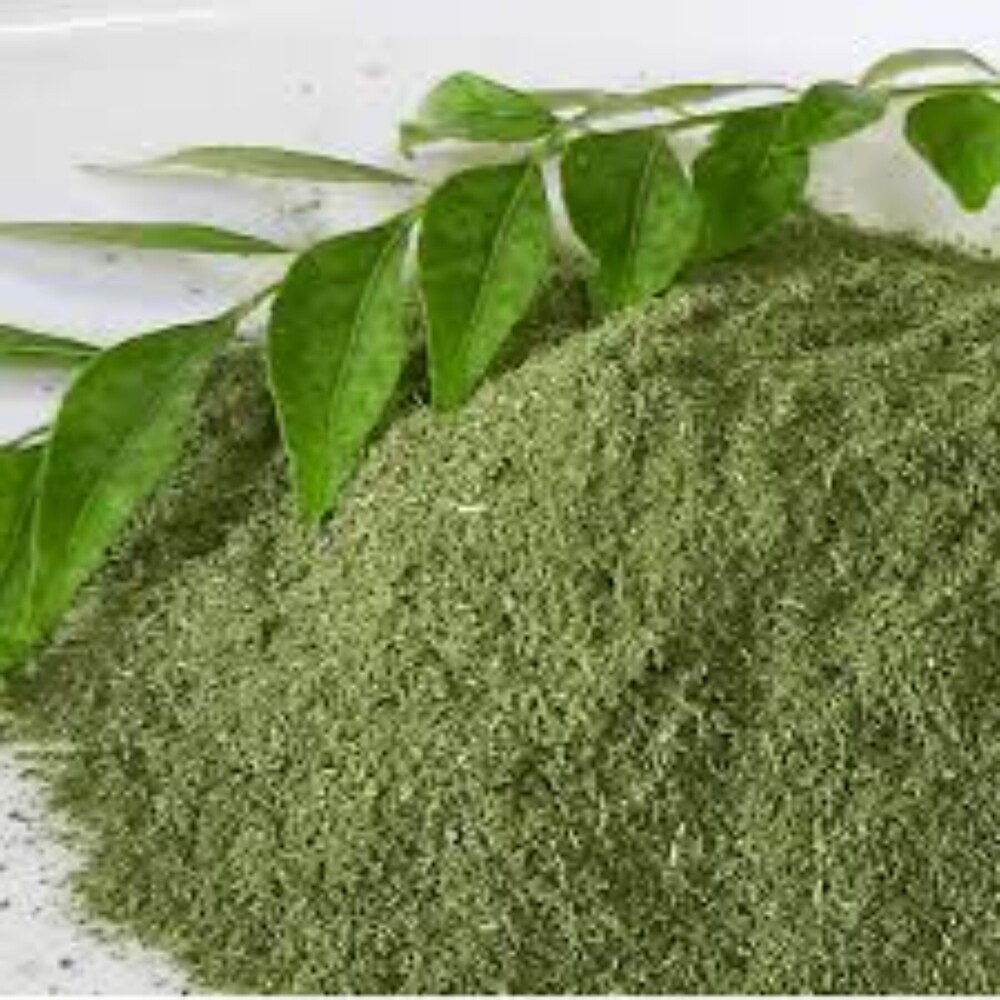 Fresh Curry Leaf Powder