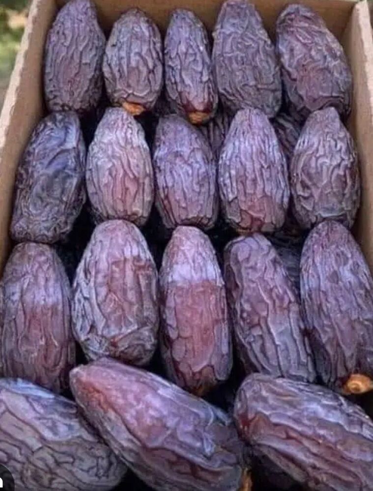 Premium Quality Large Size Dates