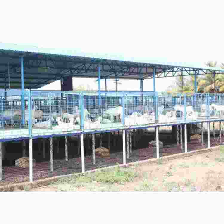 Goat Farm Sheds