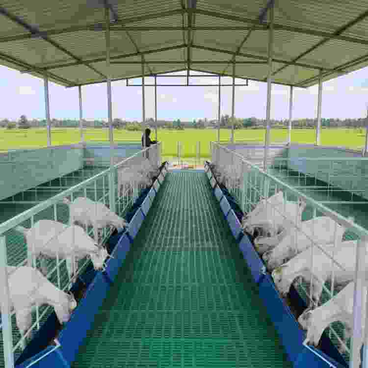 Goat Farm Sheds
