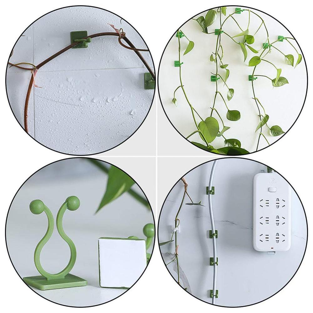 Plant Climbing Wall Fixture Clip Self-Adhesive Hook (Approx 200 Pcs Set)