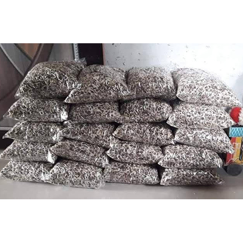 Drum Stick Seeds