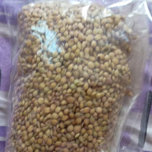 Lemon Seeds