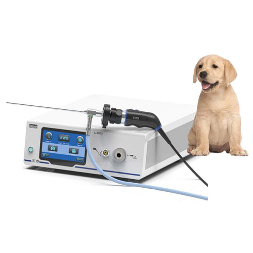 Veterinary Rigid Laparoscopic Equipment