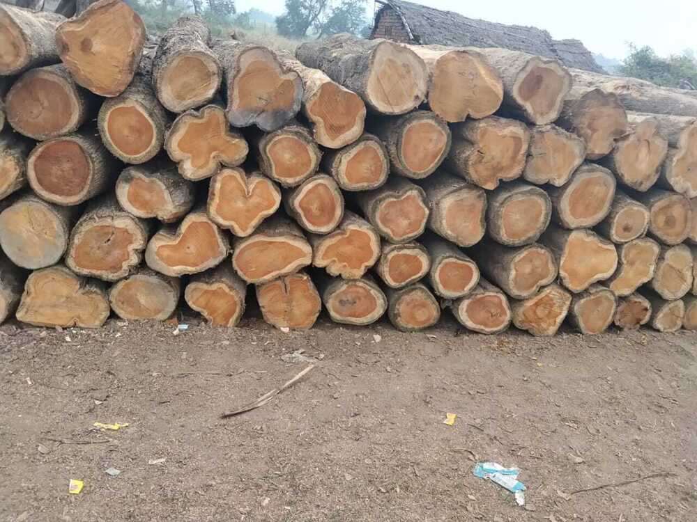 Round Timber Logs