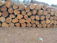 Round Timber Logs