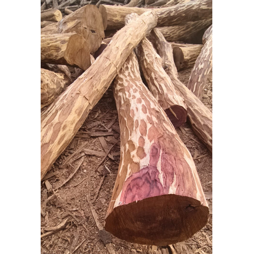 Unprocessed Timber Logs