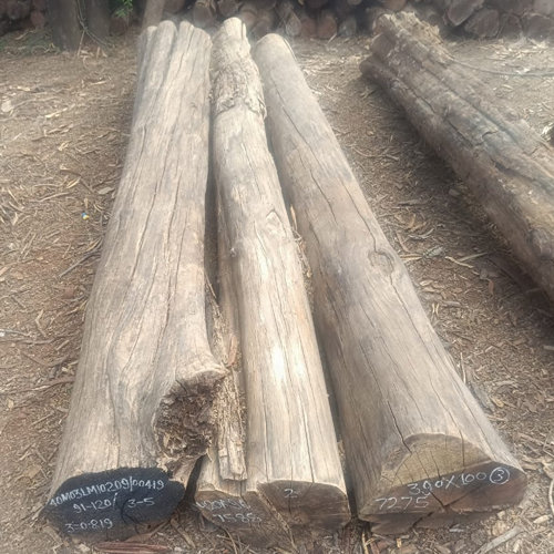 Sheesham Wood Logs