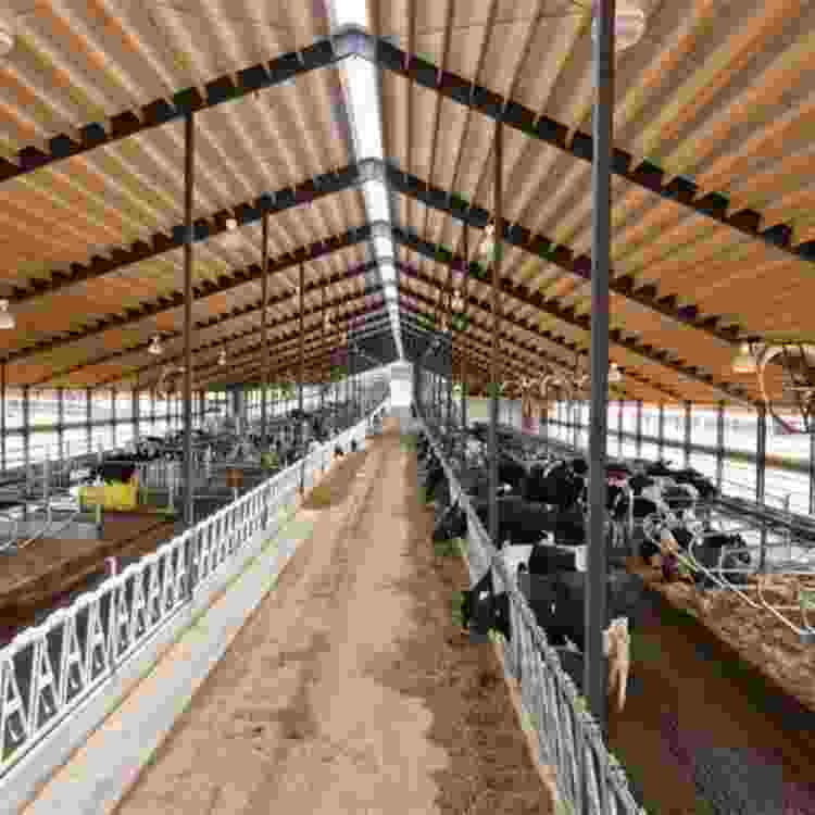 Dairy Farm Sheds