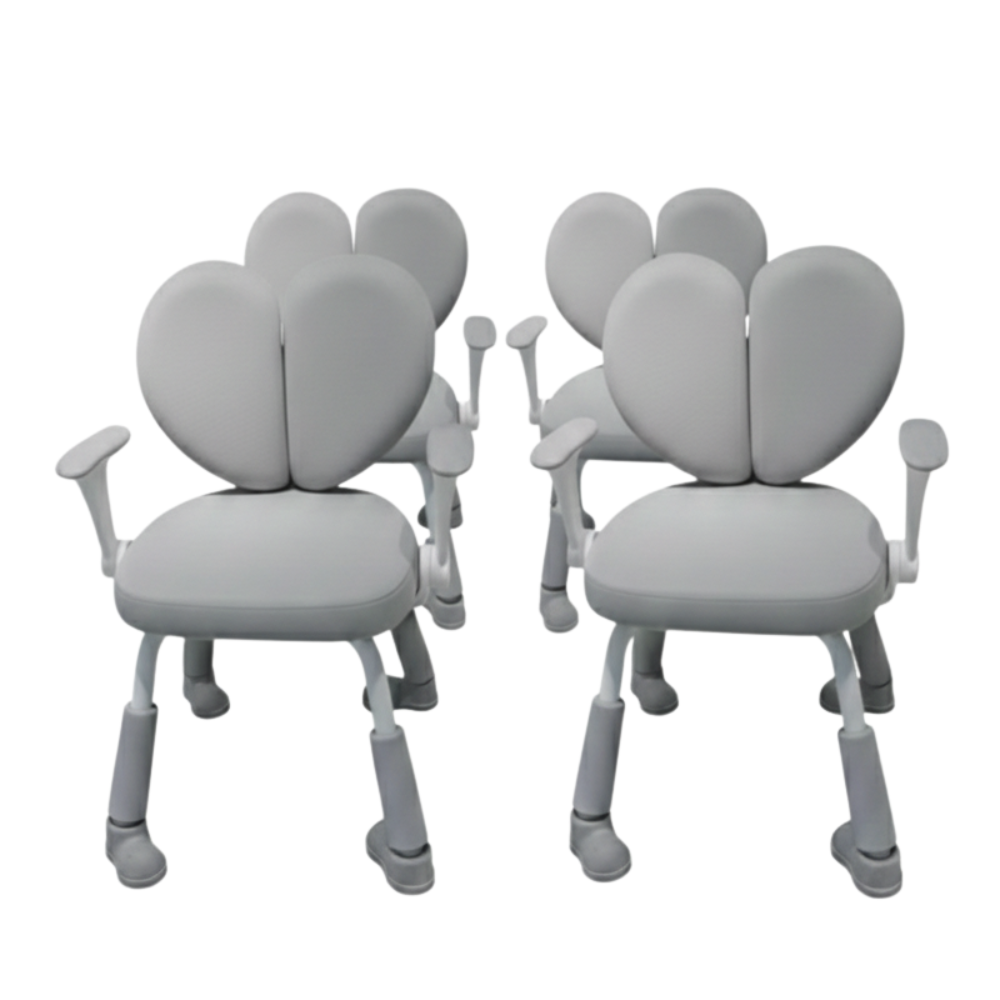 Beeds M25 Dual Back Support Office Chair