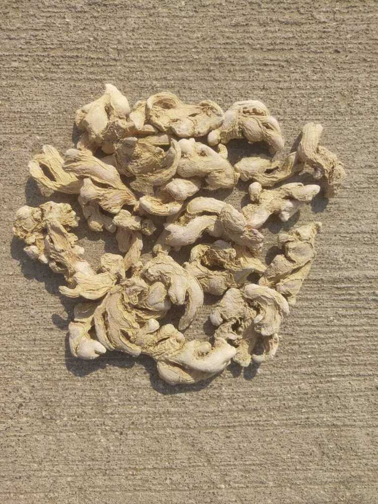Dry Ginger