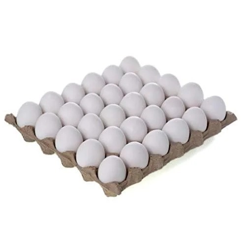Poulty White Eggs