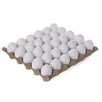 Poulty White Eggs