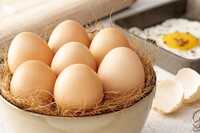 Poultry Egg