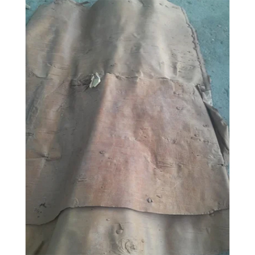 Bhojpatra Leaves Herbal