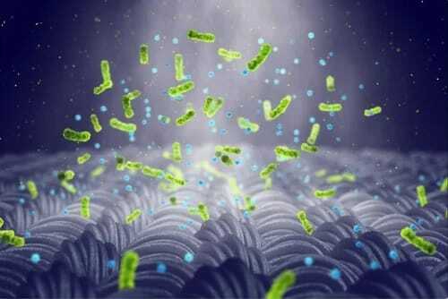 Antibacterial Fabric