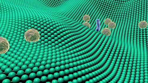 Antibacterial Fabric