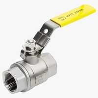 SS Ball Valves