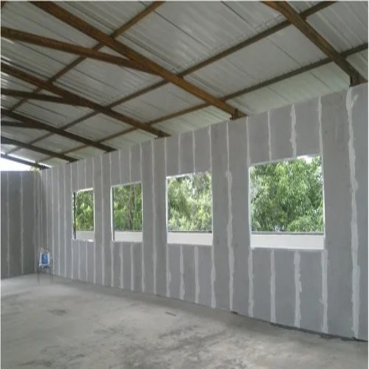 Birla Aerocon wall panel