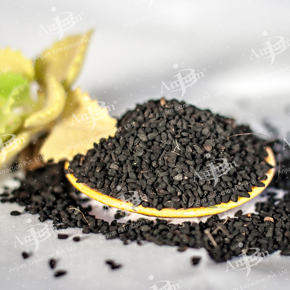 Onion Beej (Allium cepa) Extract