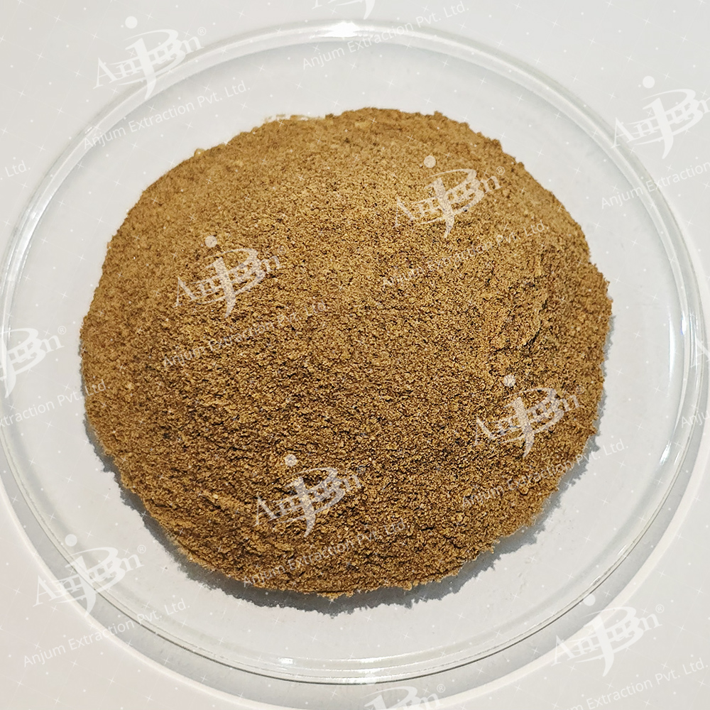 Onion Beej (Allium cepa) Extract