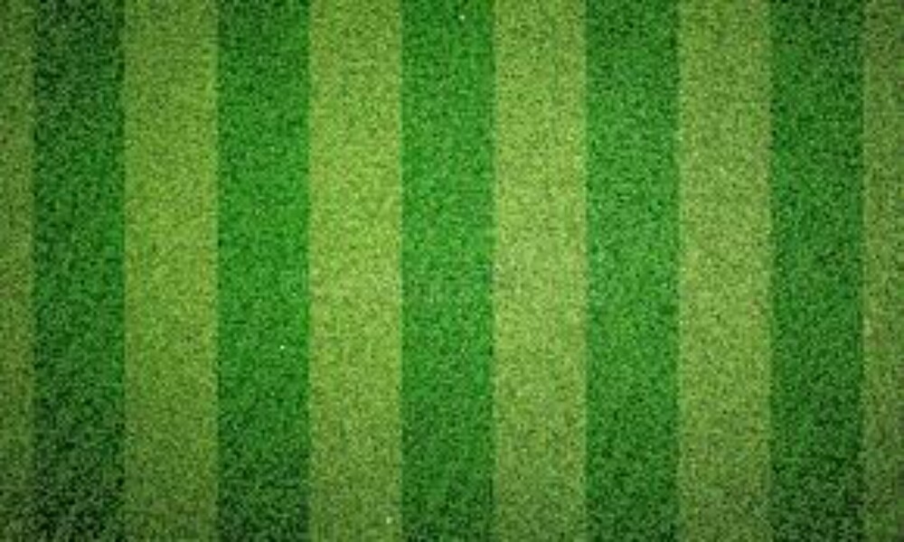 natural look Grass Wallpaper