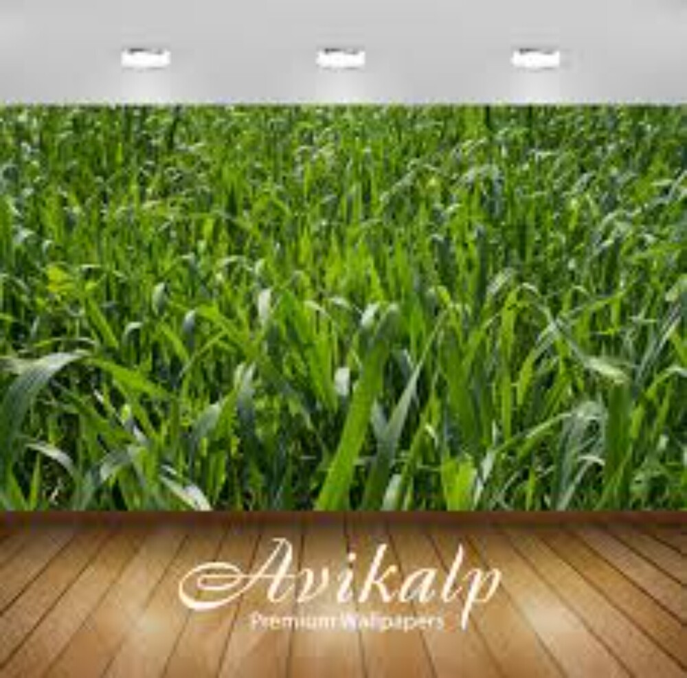 natural look Grass Wallpaper