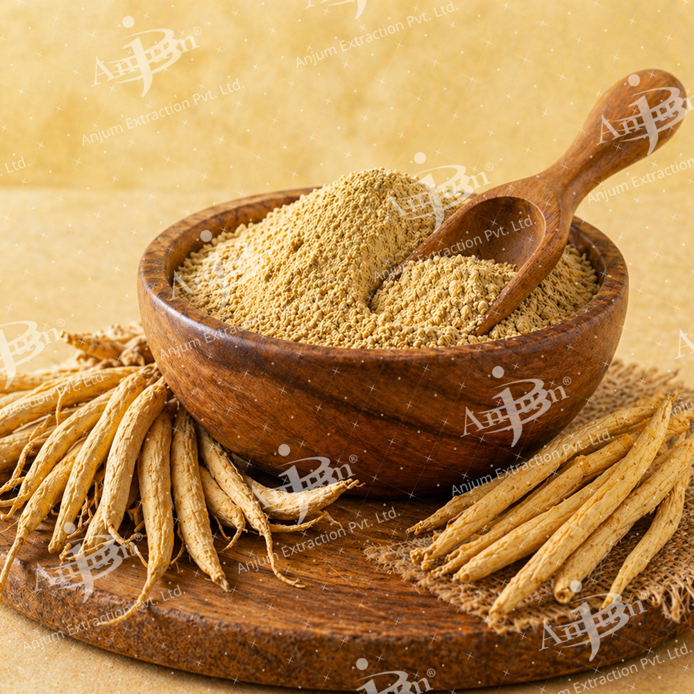 Asparagus racemosus (Shatavari Pili) Extract