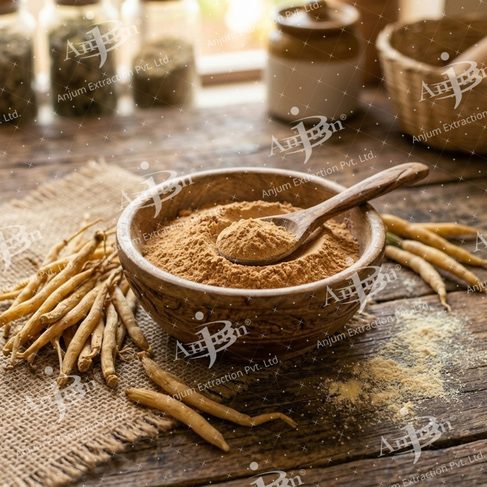 Asparagus racemosus (Shatavari Pili) Extract