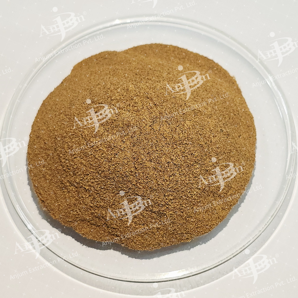 Asparagus racemosus (Shatavari Pili) Extract