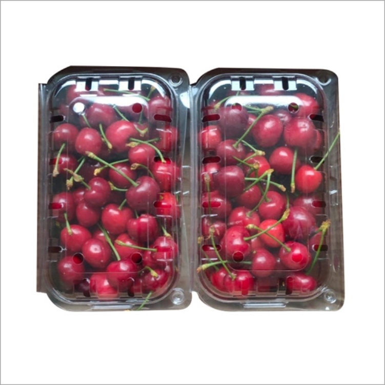 Fresh Red Cherry
