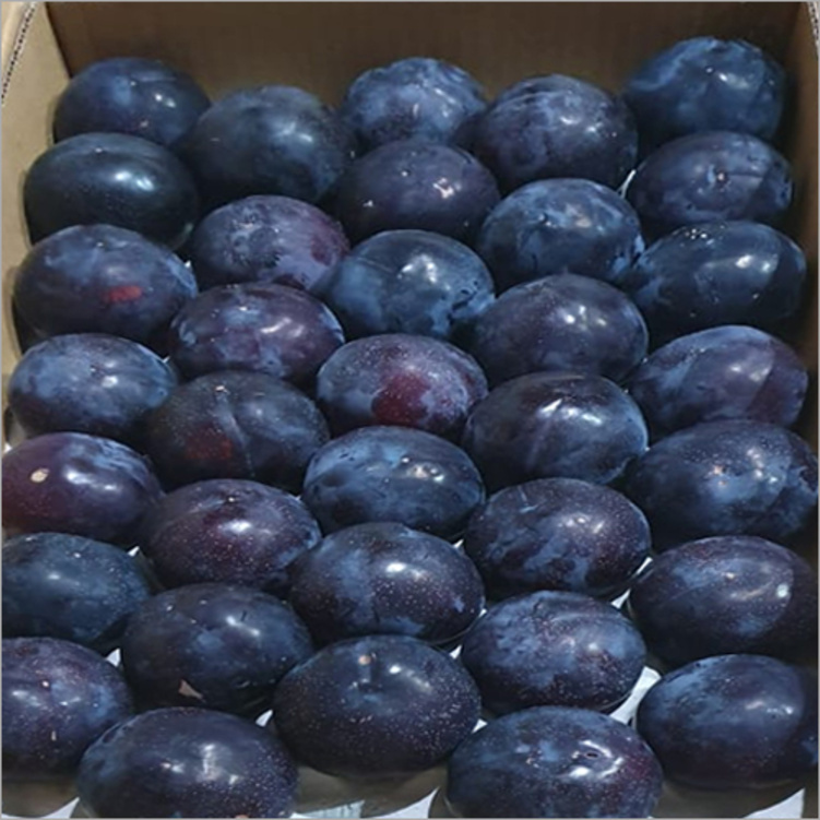 Black Amber Plum - Cultivation Type: Organic