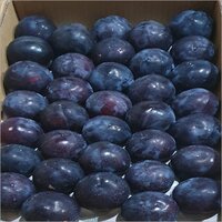 Black Amber Plum