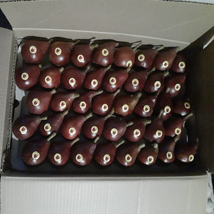 Fresh Pear - Box Of 25 Kilograms, Organic Red Variety With 23-30 Days Shelf Life, Cold Stored Quality