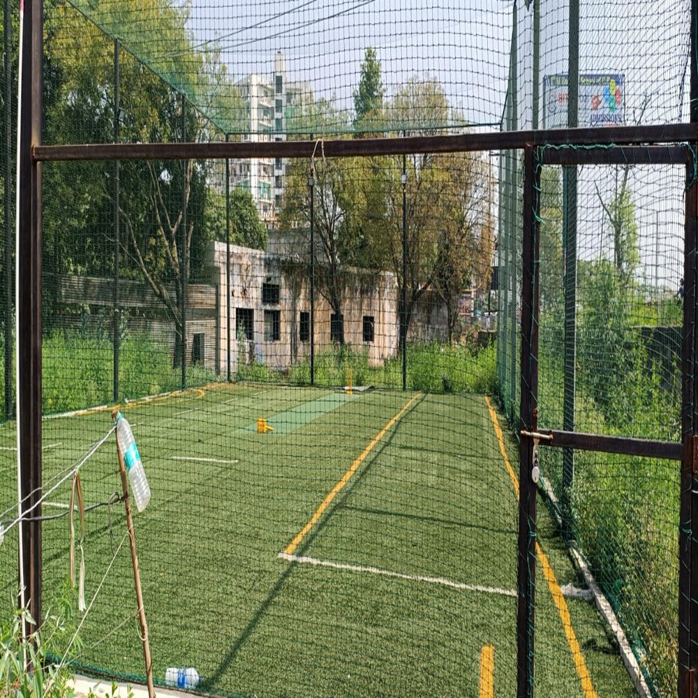Cricket Practice Pitch