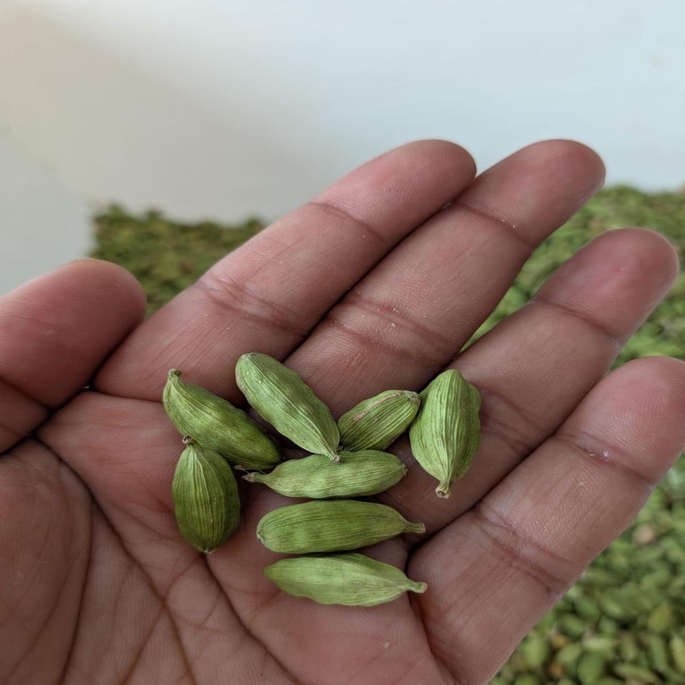 green cardamom