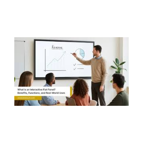 Interactive Flat Panel Display